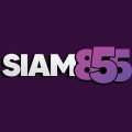 SIAM855